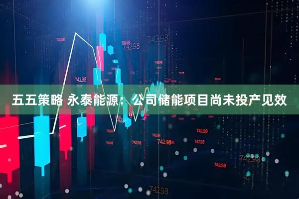 五五策略 永泰能源：公司储能项目尚未投产见效